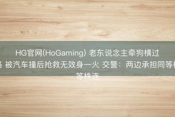 HG官网(HoGaming) 老东说念主牵狗横过马路 被汽车撞后抢救无效身一火 交警：两边承担同等株连
