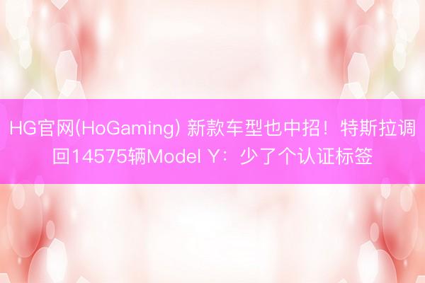 HG官网(HoGaming) 新款车型也中招！特斯拉调回14575辆Model Y：少了个认证标签
