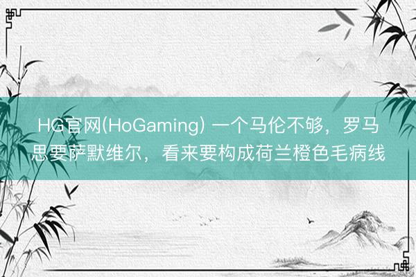HG官网(HoGaming) 一个马伦不够，罗马思要萨默维尔，看来要构成荷兰橙色毛病线