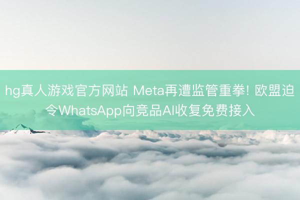 hg真人游戏官方网站 Meta再遭监管重拳! 欧盟迫令WhatsApp向竞品AI收复免费接入