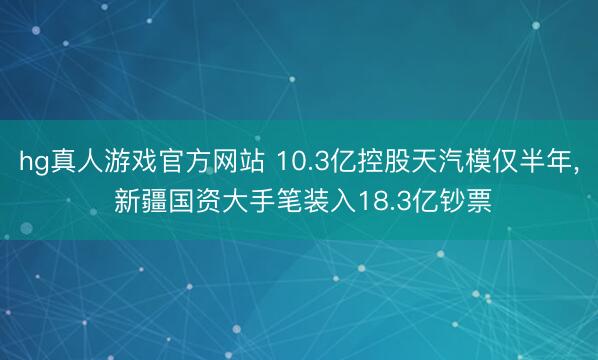 hg真人游戏官方网站 10.3亿控股天汽模仅半年, 新疆国资大手笔装入18.3亿钞票