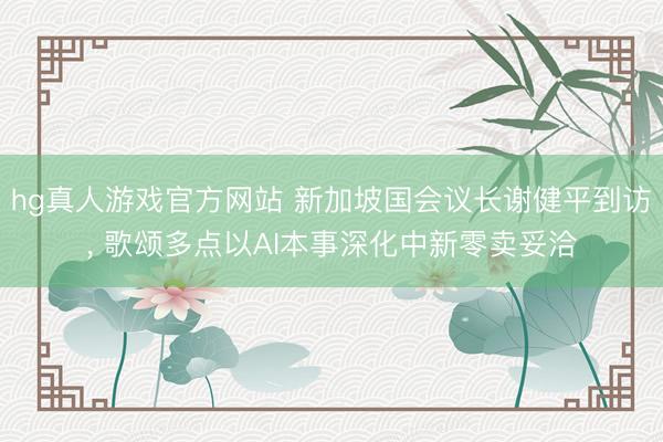 hg真人游戏官方网站 新加坡国会议长谢健平到访, 歌颂多点以AI本事深化中新零卖妥洽