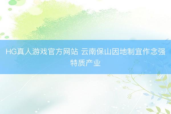HG真人游戏官方网站 云南保山因地制宜作念强特质产业