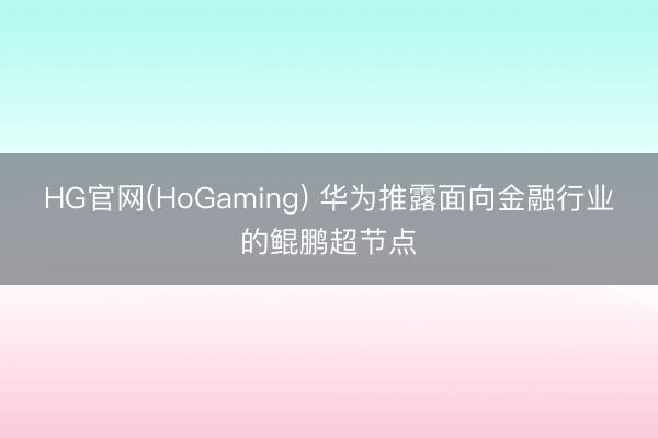 HG官网(HoGaming) 华为推露面向金融行业的鲲鹏超节点