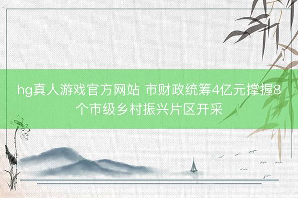 hg真人游戏官方网站 市财政统筹4亿元撑握8个市级乡村振兴片区开采
